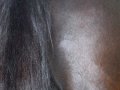 Zodiacon 2012 298.jpg